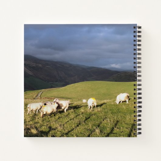 CARNET SHEEP DE MONTAGNE (Dos)