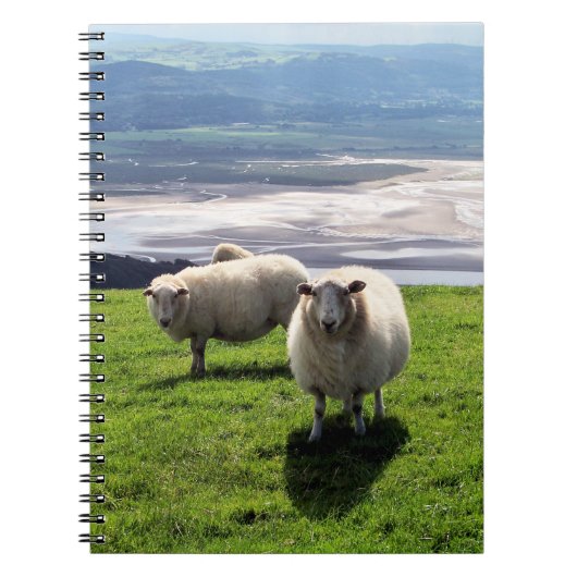 CARNET SHEEP DE MONTAGNE BIEN-ÊTRE (Devant)