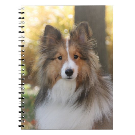 Carnet Sheltie (Devant)