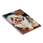 Carnet Shih Tzu (Côté Droit)