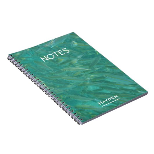 Carnet Shoal of Fish (Côté Droit)