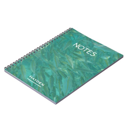 Carnet Shoal of Fish (Côté gauche)