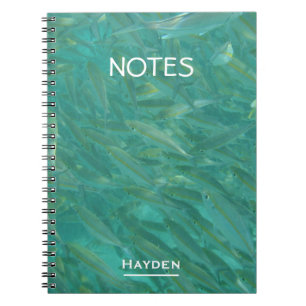Carnet Shoal of Fish