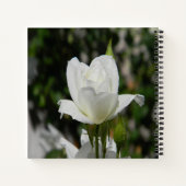 Carnet Si pure... (Dos)