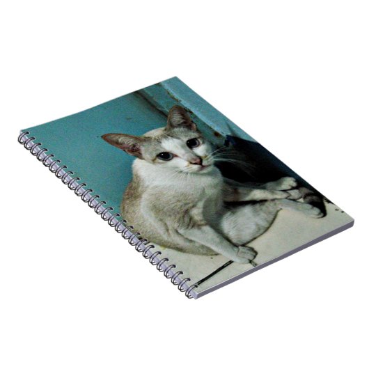 Carnet Siamese Chat Friend (Côté Droit)