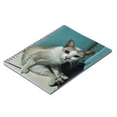 Carnet Siamese Chat Friend (Côté gauche)