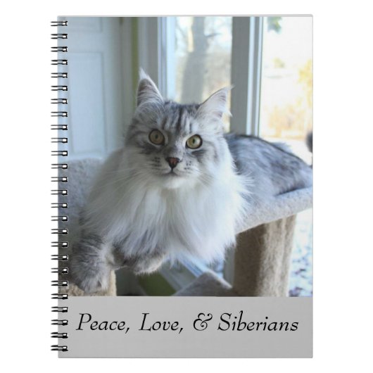 Carnet sibérien de chat (Devant)