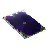 Carnet Sibylla (Côté Droit)