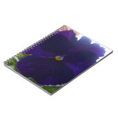 Carnet Sibylla (Côté gauche)