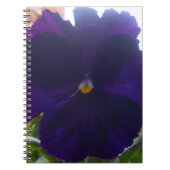 Carnet Sibylla (Devant)