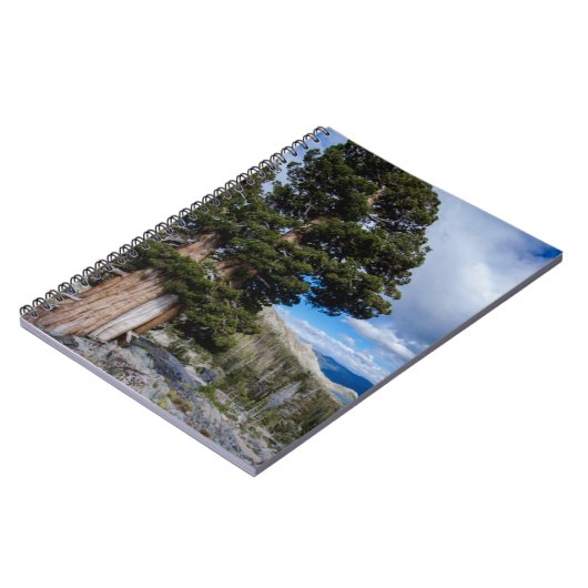 Carnet Sierra Juniper et arbres À feuillage persistant 2 (Côté gauche)