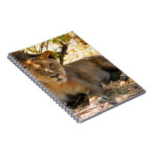 Carnet Siesta Time (Côté Droit)