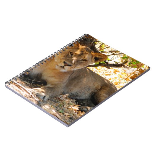 Carnet Siesta Time (Côté gauche)