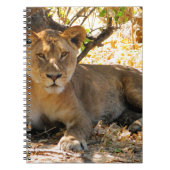 Carnet Siesta Time (Devant)