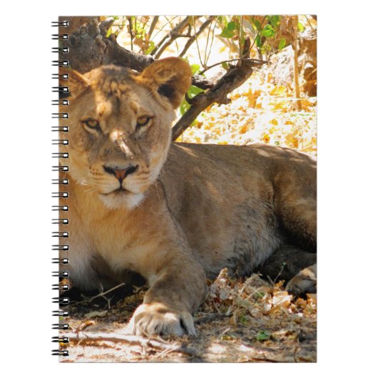 Carnet Siesta Time (Devant)