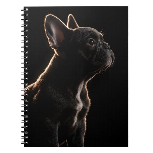Carnet Silence de velours (Devant)