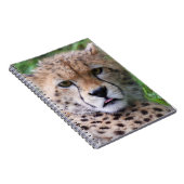 Carnet Silencieux Cheetah Cub (Côté Droit)