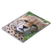 Carnet Silencieux Cheetah Cub (Côté gauche)