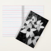 Carnet Silent Symmetry (À l'intérieur)