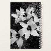 Carnet Silent Symmetry (Verso)