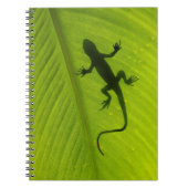 Carnet Silhouette de Gecko (Devant)