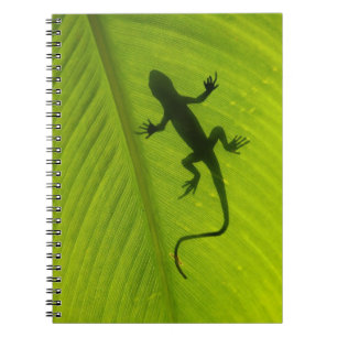 Carnet Silhouette de Gecko