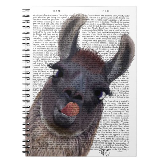 Carnet Silly Llama (Devant)