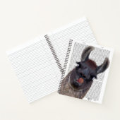Carnet Silly Llama (Intérieur)