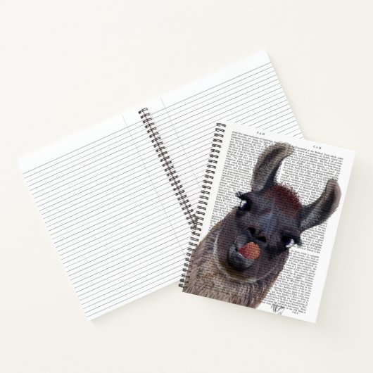 Carnet Silly Llama (Intérieur)