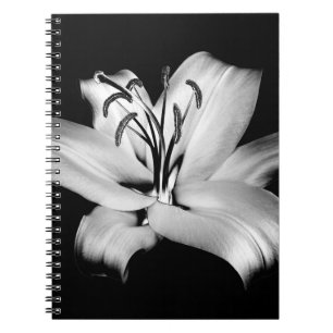 Carnet Silver Lily : Élégance Florale Monochrome.