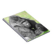 Carnet Silverback prend le devant de la scène (Côté Droit)