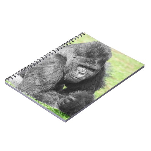 Carnet Silverback prend le devant de la scène (Côté gauche)