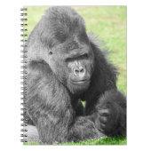 Carnet Silverback prend le devant de la scène (Devant)