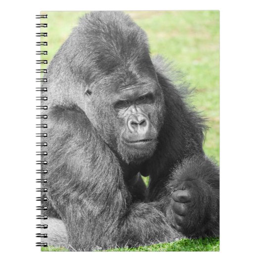 Carnet Silverback prend le devant de la scène (Devant)