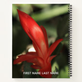 Carnet Simplicité, mot de l'année 2018, Cactus de Noël (Dos)