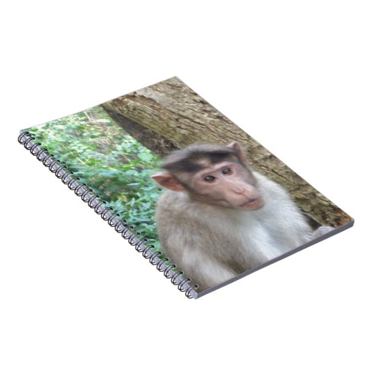 Carnet Singe (Côté Droit)