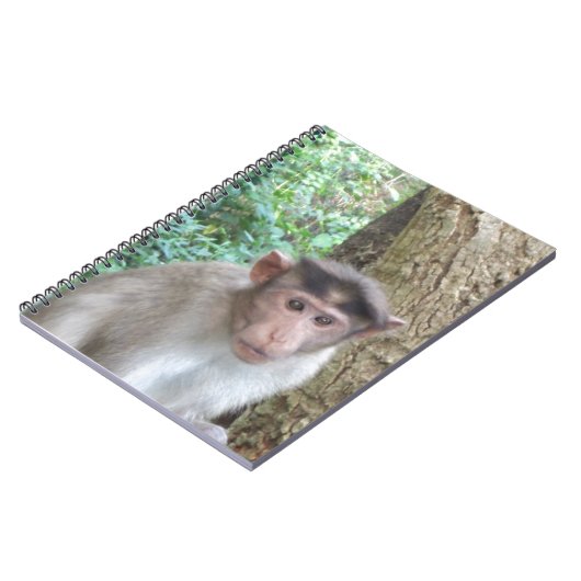 Carnet Singe (Côté gauche)