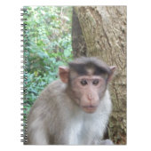 Carnet Singe (Devant)