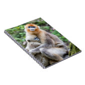 Carnet Singe à nez retroussé doré avec bébé (Côté Droit)