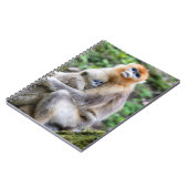 Carnet Singe à nez retroussé doré avec bébé (Côté gauche)