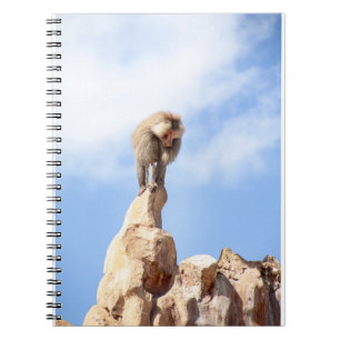 Carnet Singe babouin au sommet d'une montagne