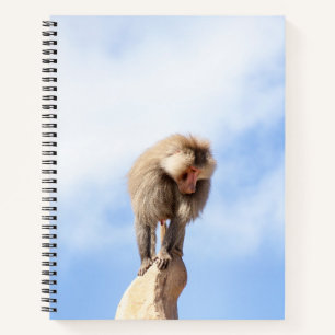 Carnet Singe babouin au sommet d'une montagne