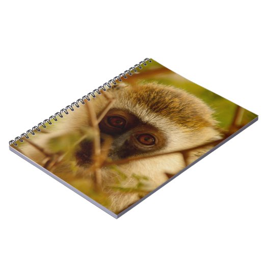 Carnet Singe Cheeky. (Côté gauche)