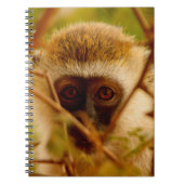 Carnet Singe Cheeky. (Devant)