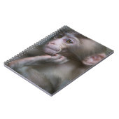 Carnet Singe de bébé (Côté gauche)