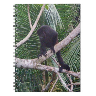 Carnet Singe d'hurleur et singe de bébé en jungle du