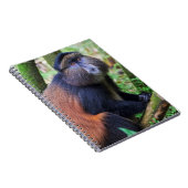 Carnet Singe doré, Rwanda (Côté Droit)