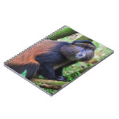 Carnet Singe doré, Rwanda (Côté gauche)