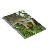 Carnet Singe écureuil commun, (Saimiri sciureus), Rio (Côté Droit)