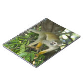 Carnet Singe écureuil commun, (Saimiri sciureus), Rio (Côté gauche)